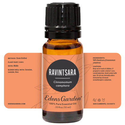 Edens Garden Ravintsara Essential Oil – 100% Pure Premium Grade, 10 ml | Diffuser, Aromatherapy, Immune Support