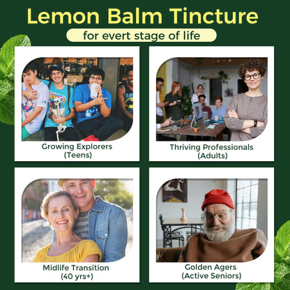 Organic Lemon Balm Tincture for Relaxation & Mood Balance – Fast-Absorbing, Alcohol-Free (60 mL)