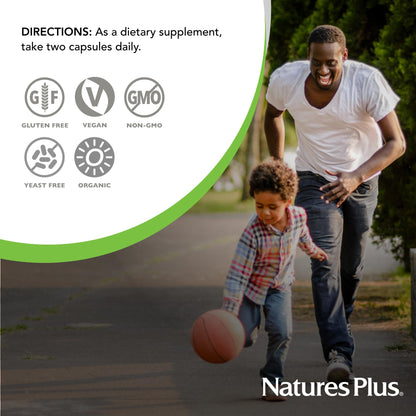 NaturesPlus Source of Life Garden Organic Vitamin B12 1000 mcg | 60 Vegan Capsules