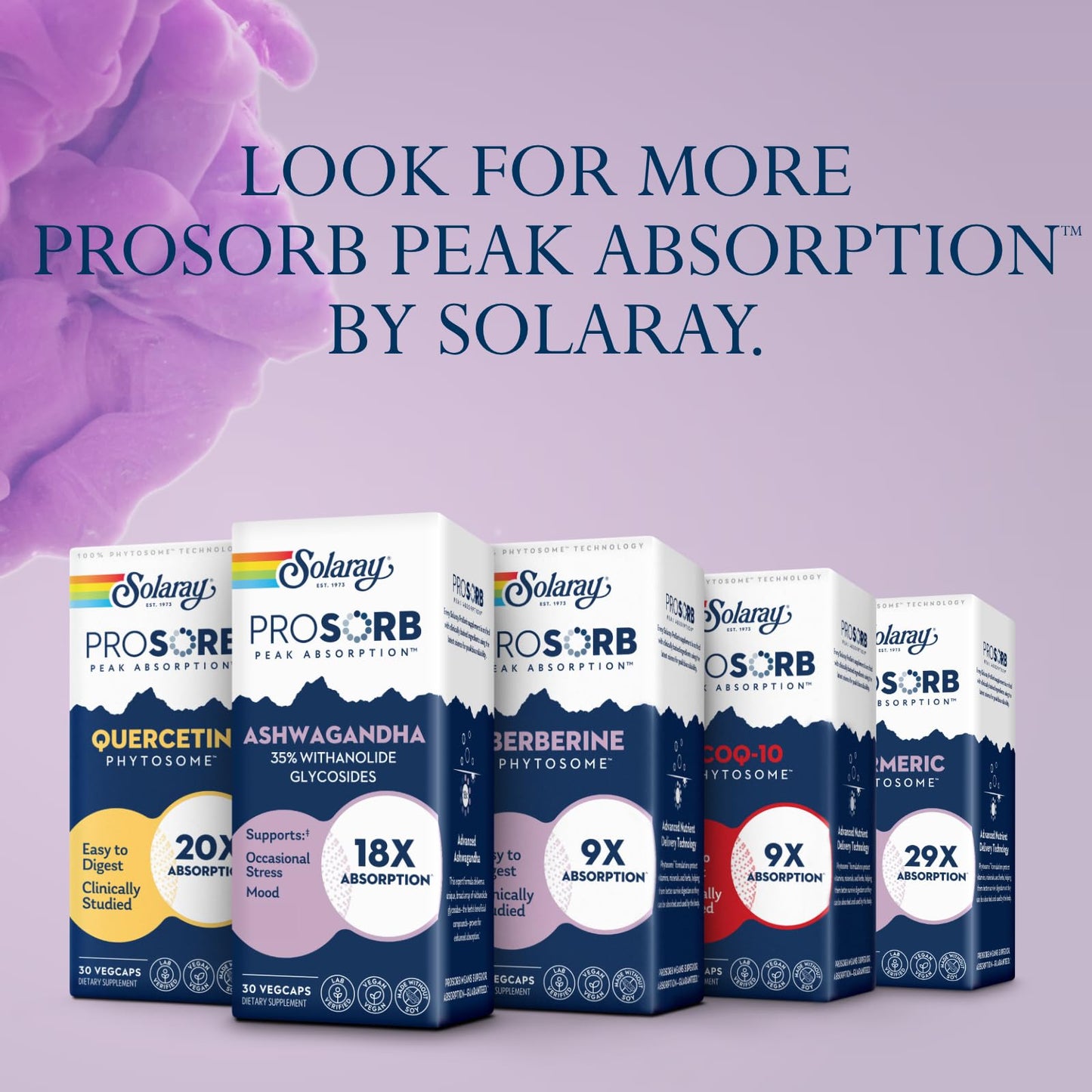 SOLARAY Ashwagandha 18X Absorption – 240 mg, Mood & Stress Support, Vegan
