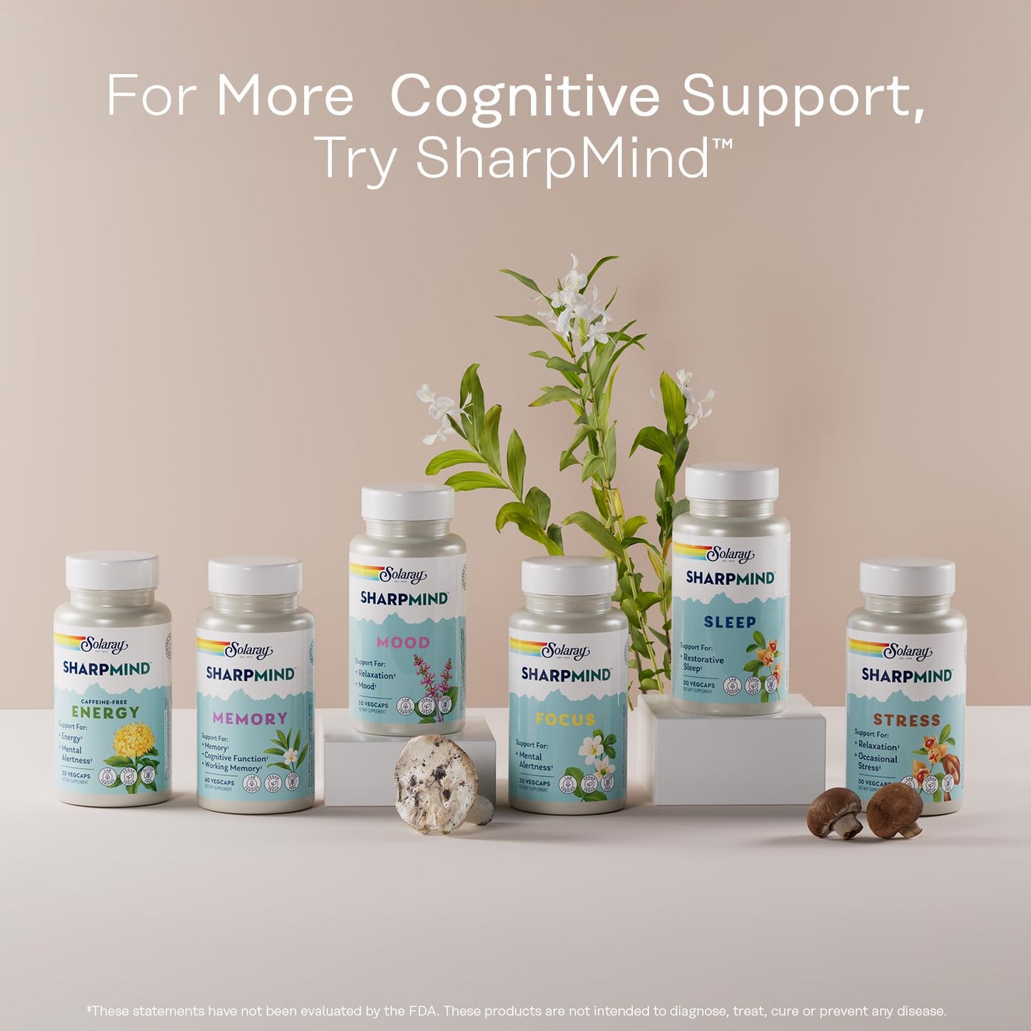 SOLARAY Ginkgo Biloba Extract with Gotu Kola – Brain Health Support, Vegan, Lab Verified, 60 Servings