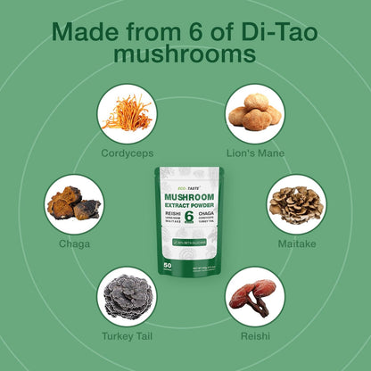 Eco-Taste 6 Blend Mushroom Powder - 30% Beta-D-Glucan - Lions Mane, Reishi, Cordyceps, Chaga, Turkey Tail, Maitake - Fruiting Body Extract 100g