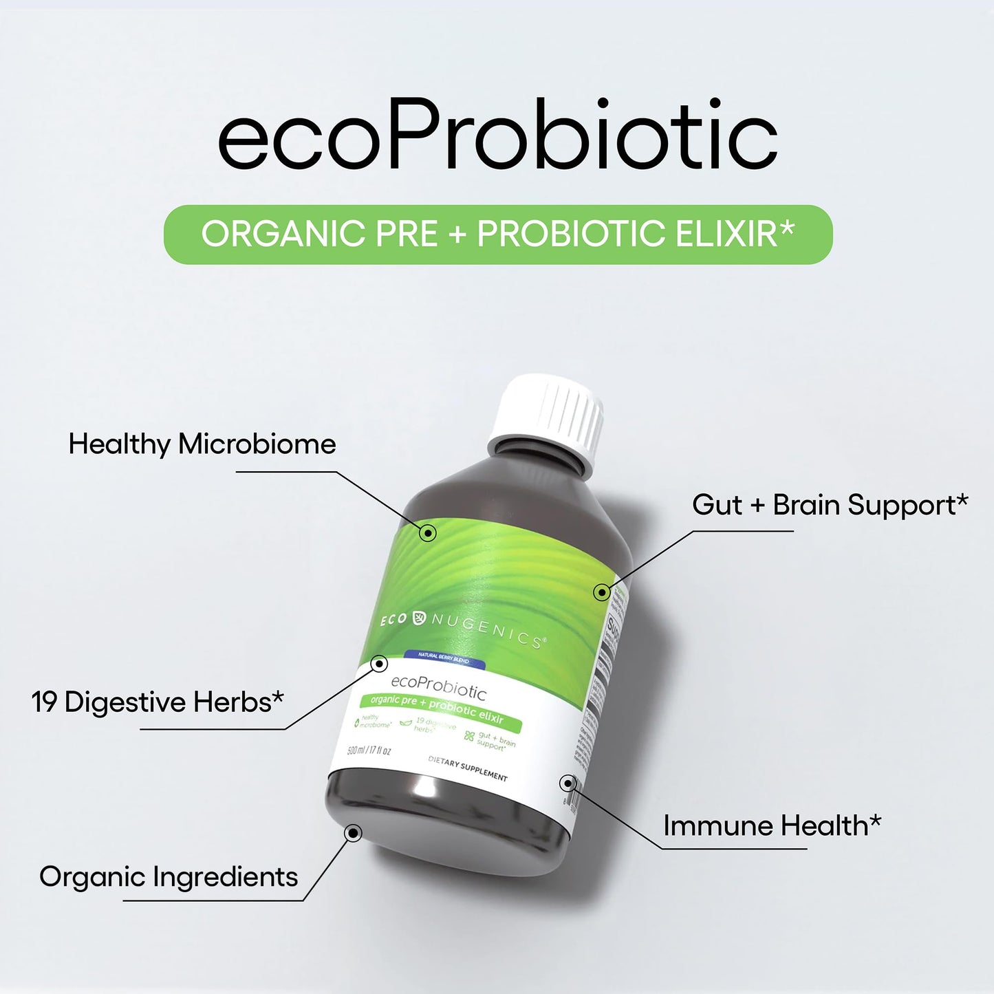 EcoNugenics ecoProbiotic: Probiotic & Prebiotic Liquid with 19 Organic Digestive Herbs – 17 oz
