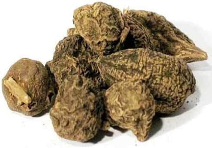 EcoVista High John root | High John The Conqueror Root | Wicca Pagan Curio Magick | Ipomoea Jalapa | Organic Harvested | Carry For Luck | 1 ounces/oz