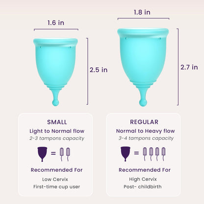 EcoBlossom Reusable Menstrual Cup & Case | Medical-Grade Silicone, 12-Hour Comfort (Pack of 2, Small/Large)