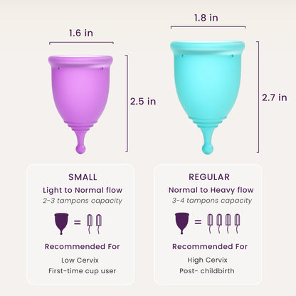 EcoBlossom Complete Menstrual Cup Kit – All-In-One Reusable Cups, Lube, Cleaner, Holder & Applicator