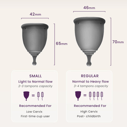 EcoBlossom Reusable Menstrual Cup & Case – Medical-Grade Silicone, 12-Hour Leak-Proof (Large Pack of 2, Gray)