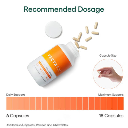 EcoNugenics PectaSol Modified Citrus Pectin – 90 Capsules for Immune & Total-Body Health BritishVita | Premium UK Vitamins & Wellness Supplements