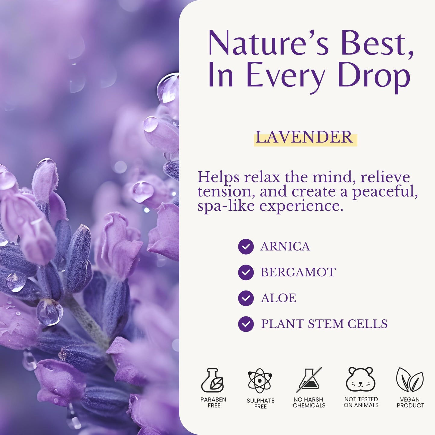Edenika Botanicals Lavender Massage Oil – Relaxing Aromatherapy & Fast-Absorbing Massage Oil (2-Pack)