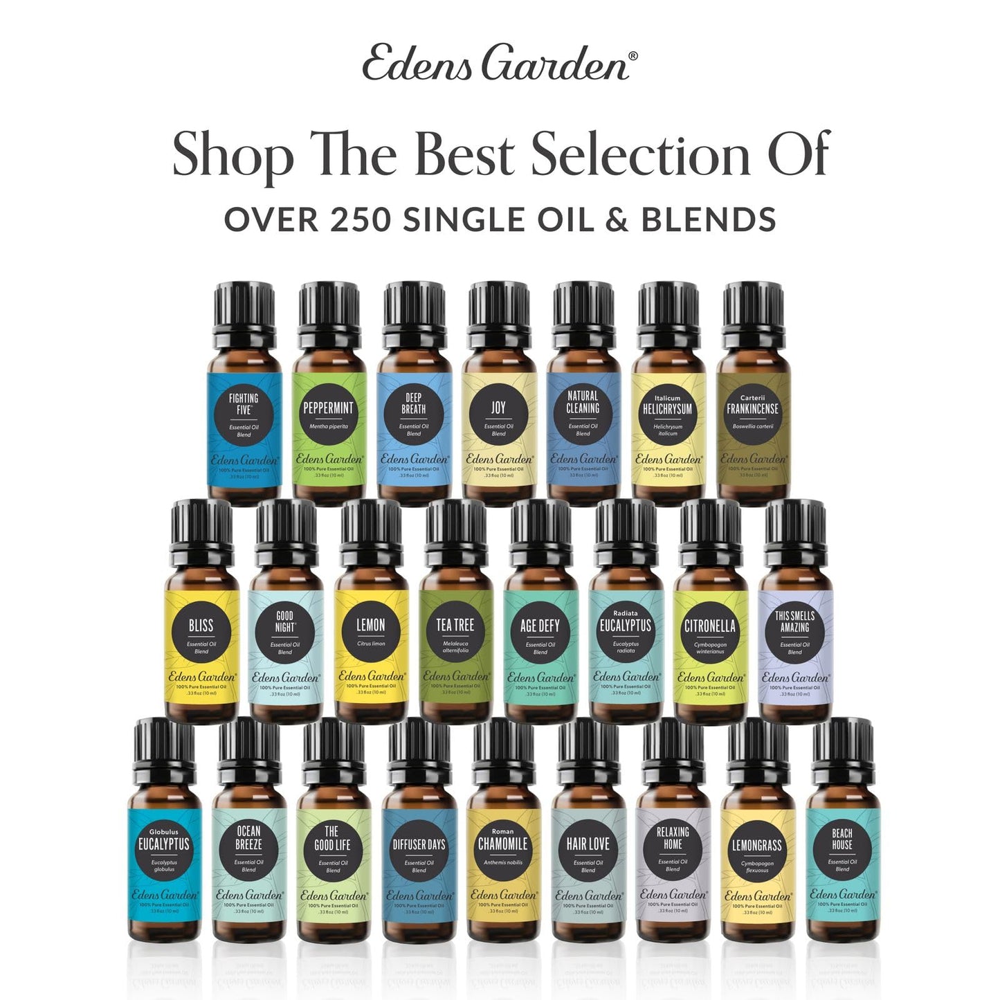 Edens Garden Aches & Pains 6 Set – 10 ml Therapeutic Essential Oils (6 Pack)