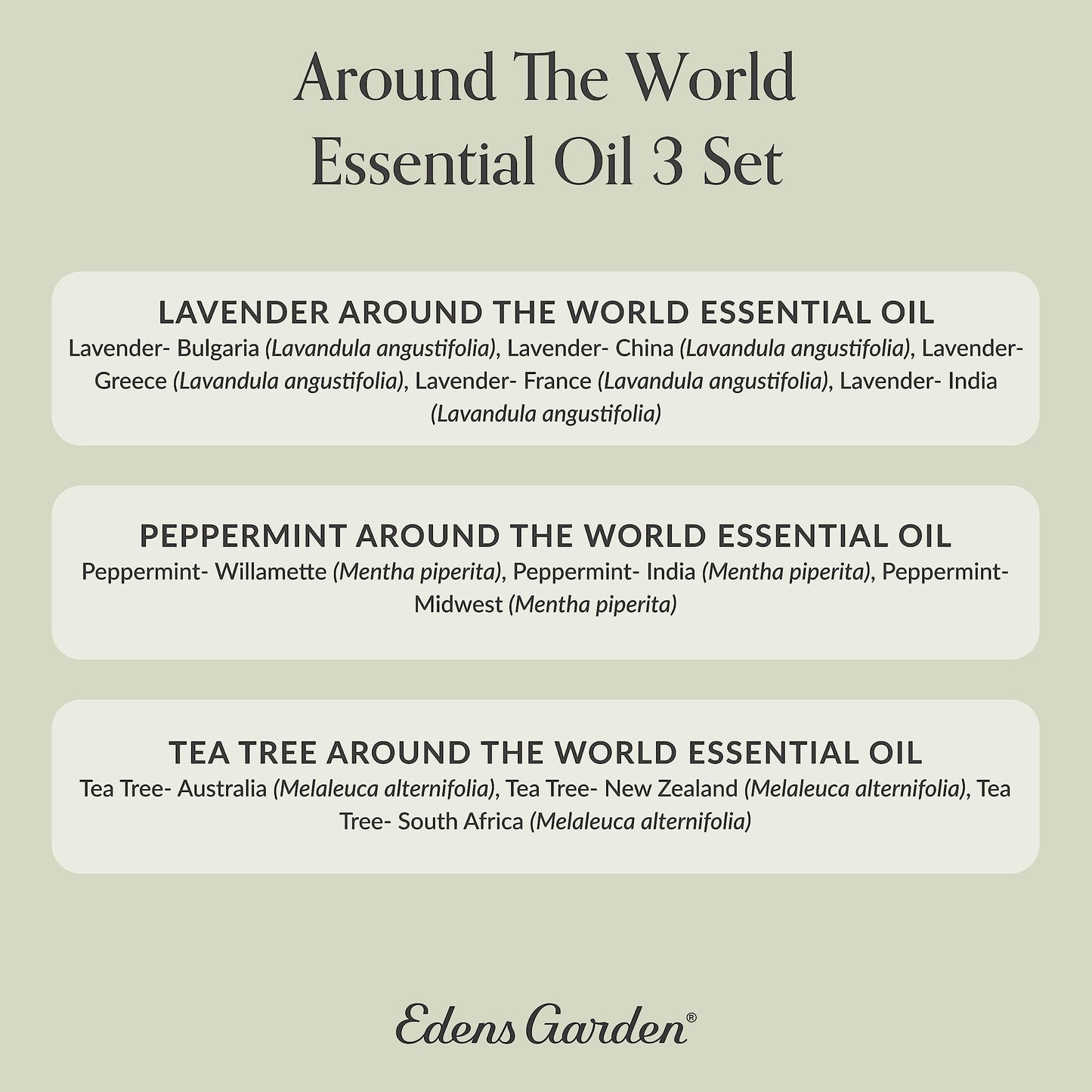Edens Garden Around The World 3 Set – 3 Pack Lavender, Peppermint & Tea Tree Oils – No Fragrance & Undiluted, 100% Pure Therapeutic Grade (10 ml each)