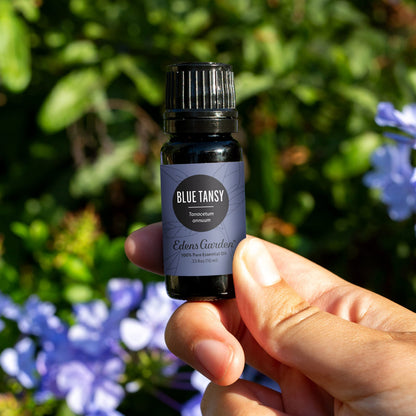 Edens Garden Blue Tansy Essential Oil – 100% Pure, Premium Grade, 30 ml