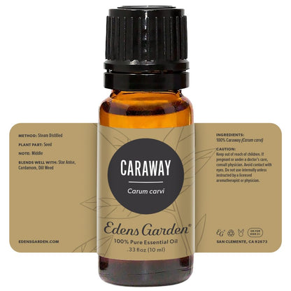 Edens Garden Caraway Essential Oil – 100% Pure, Premium Grade, 10 ml