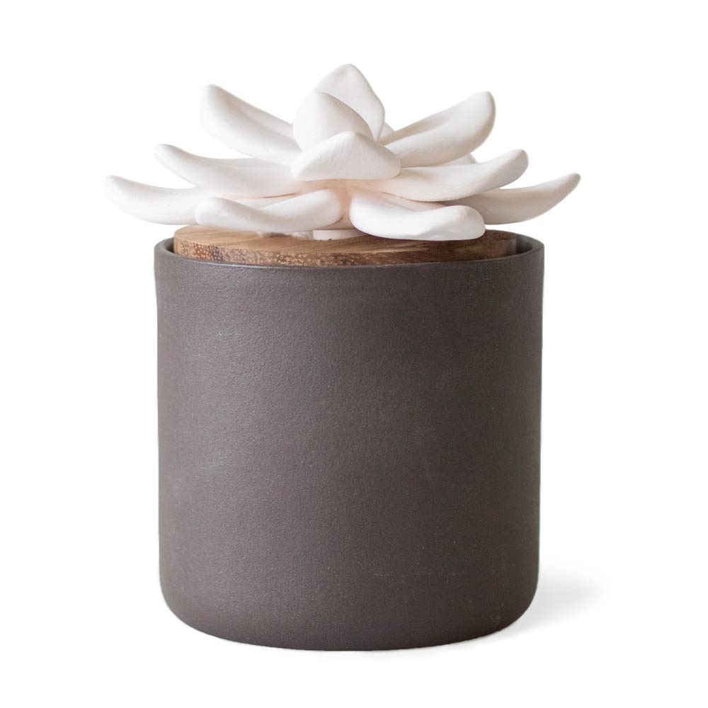 Edens Garden Charcoal Ceramic Bloom Diffuser – Passive Wick Aromatherapy