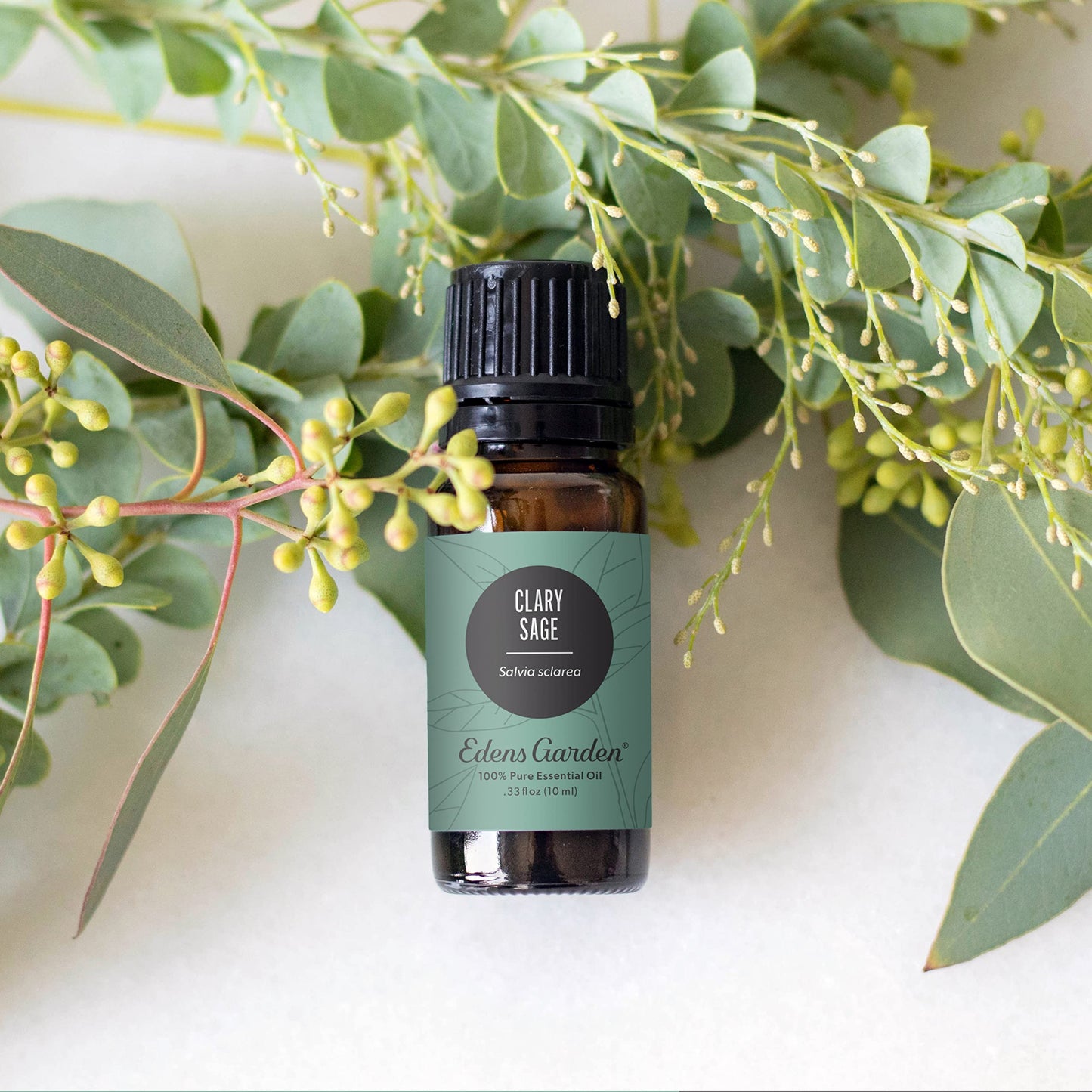 Edens Garden Clary Sage Essential Oil – 100% Pure Premium Grade, 10 ml