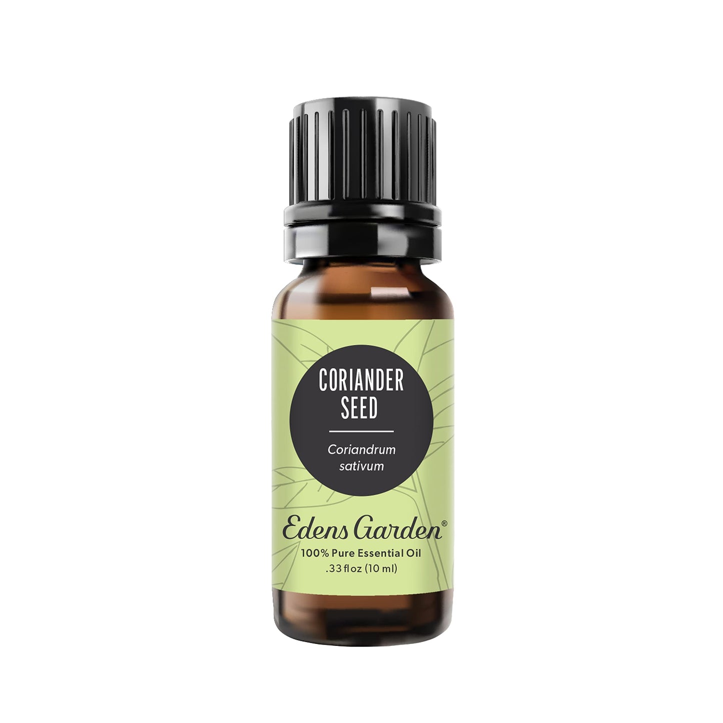 Edens Garden Coriander Seed Essential Oil - 100% Pure, Premium Grade (10 ml) | Therapeutic Aromatherapy