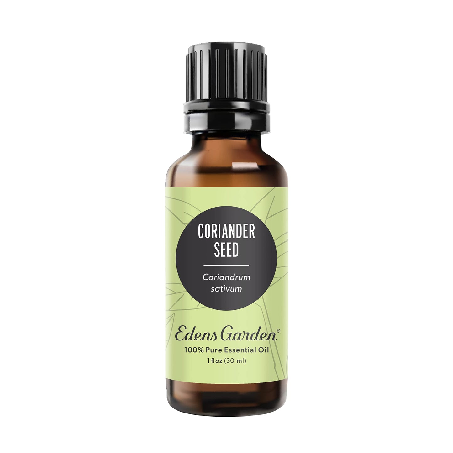 Edens Garden Coriander Seed Essential Oil – 100% Pure, Premium Grade, 30ml