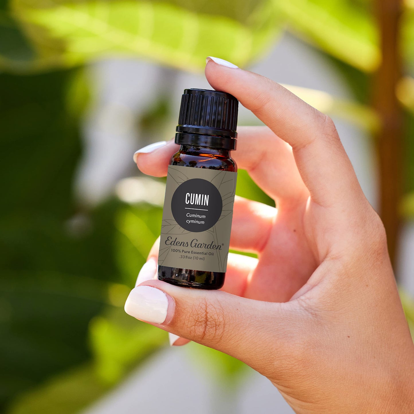 Edens Garden Cumin Essential Oil – 100% Pure, Premium Grade, 10 ml
