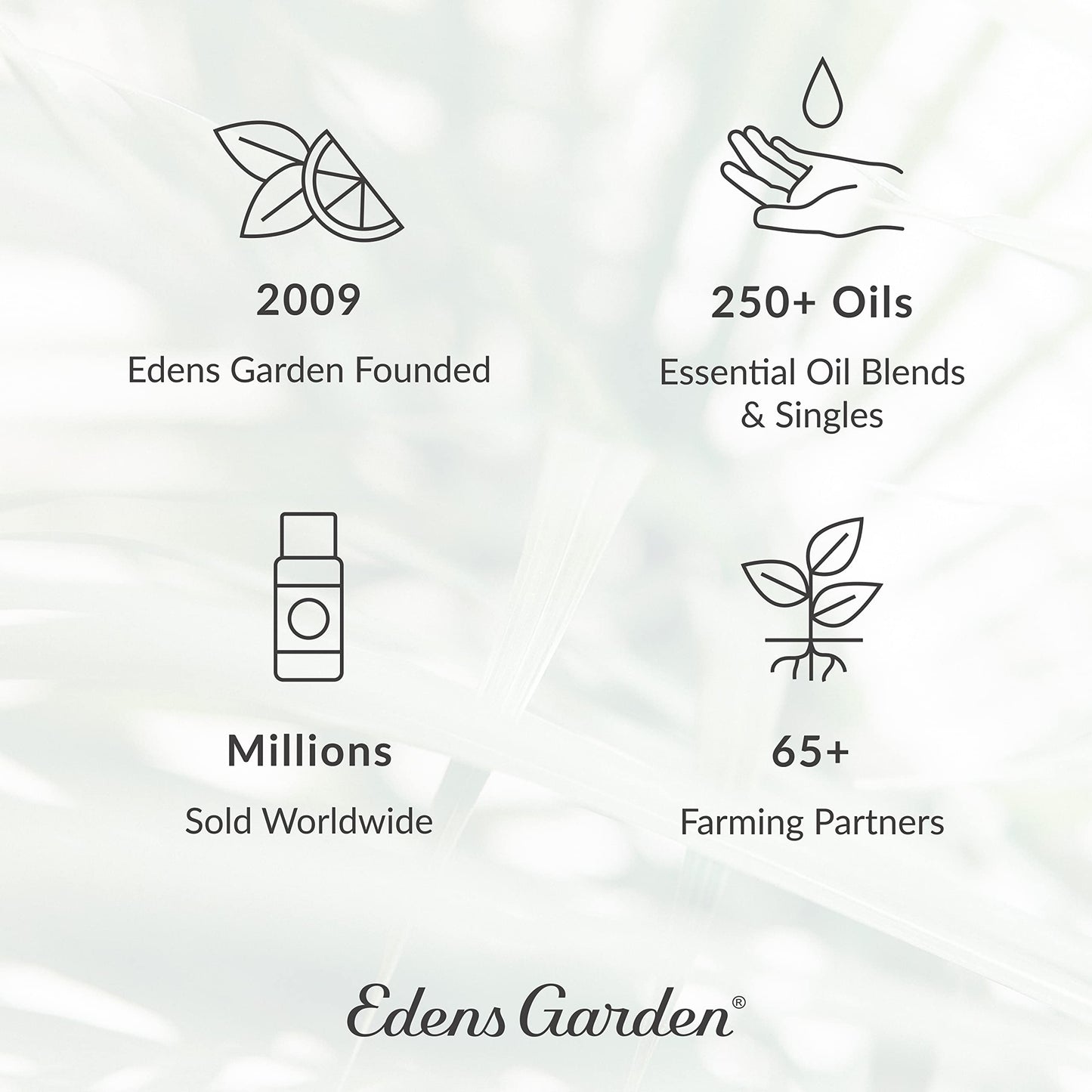 Edens Garden De-Stress 6 Set – 100% Pure Essential Oils (10 ml x6)