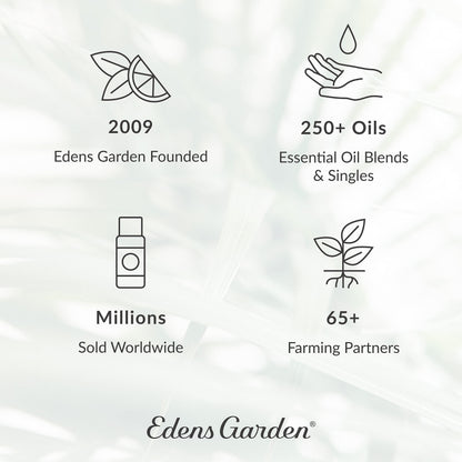 Edens Garden De-Stress 6 Set – 100% Pure Essential Oils (10 ml x6)