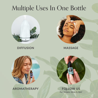 Edens Garden De-Stress 6 Set – 100% Pure Essential Oils (10 ml x6)