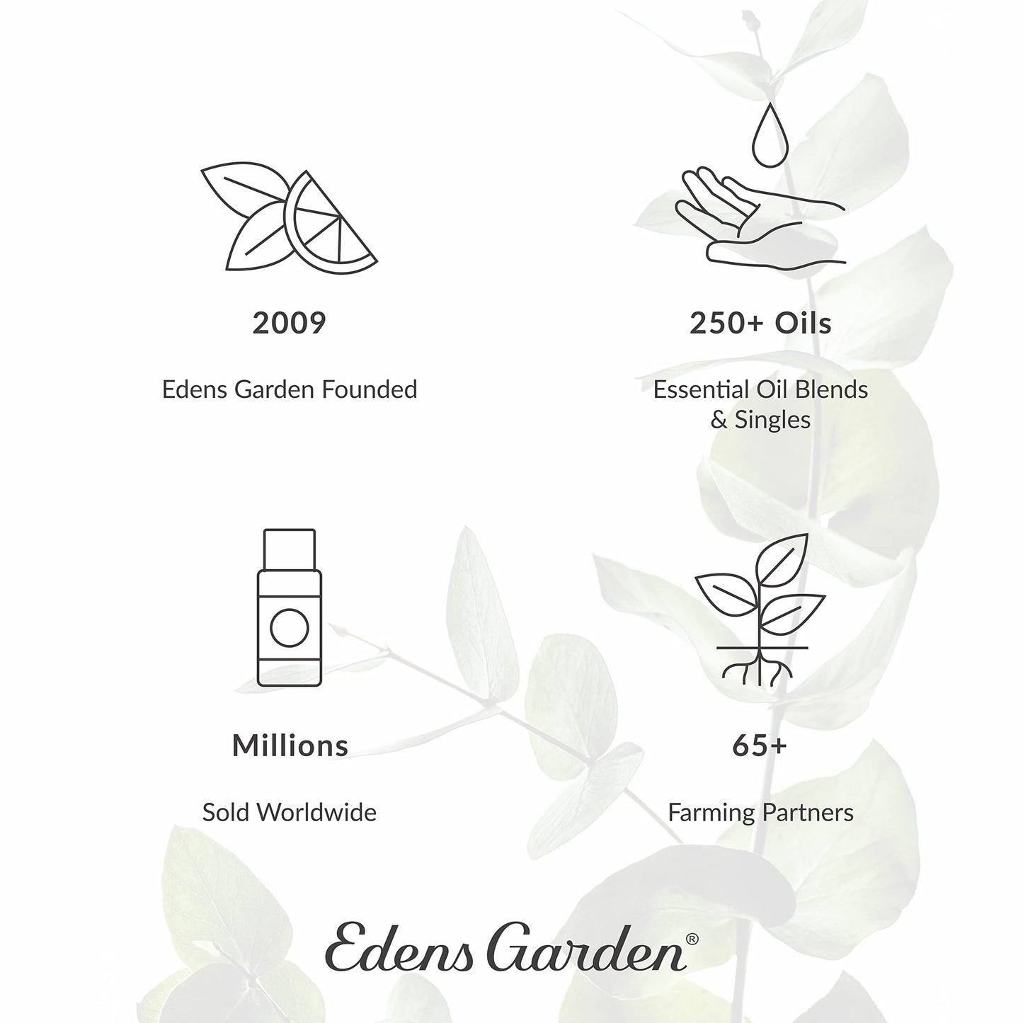Edens Garden Detox & Cleanse Essential Oil Roll-On – 10 ml