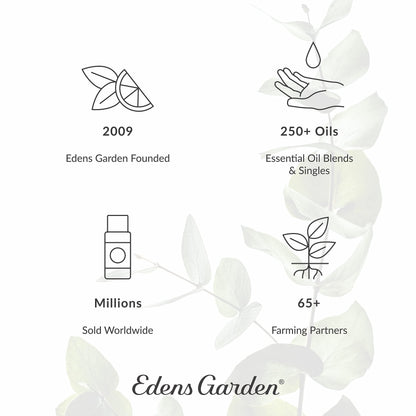 Edens Garden Detox & Cleanse Essential Oil Roll-On – 10 ml