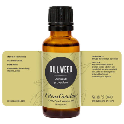 Edens Garden Dill Weed Essential Oil - 100% Pure, Premium Grade, 30 ml
