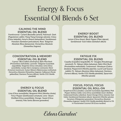 Edens Garden Energy & Focus Essential Oils 6 Set – 100% Pure Therapeutic Grade
