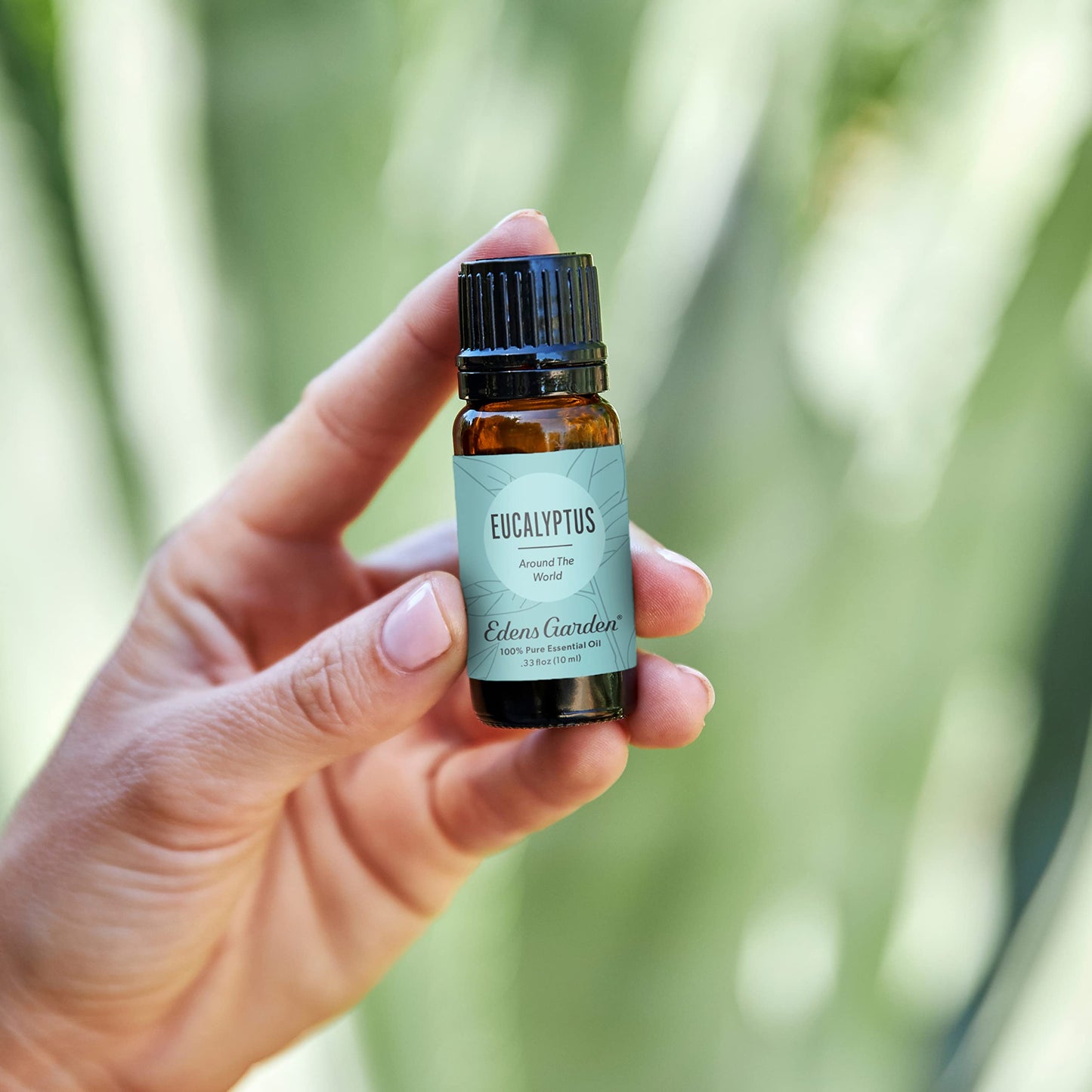 Edens Garden Eucalyptus Around The World Essential Oil - 100% Pure Therapeutic Grade, 10 ml