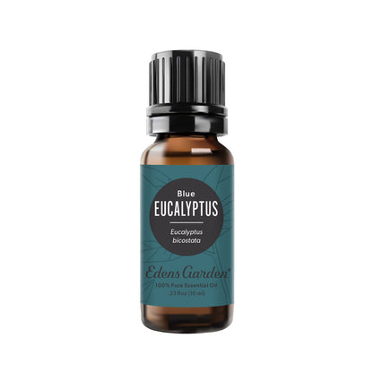 Edens Garden Eucalyptus-Blue Essential Oil - 100% Pure Premium Grade, 10 ml
