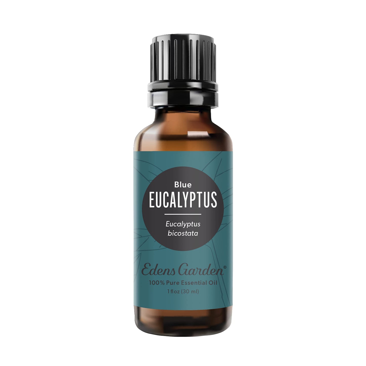 Edens Garden Eucalyptus-Blue Essential Oil - 100% Pure (30 ml)