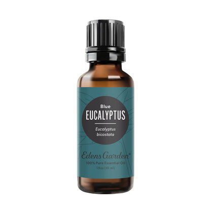 Edens Garden Eucalyptus-Blue Essential Oil - 100% Pure (30 ml)