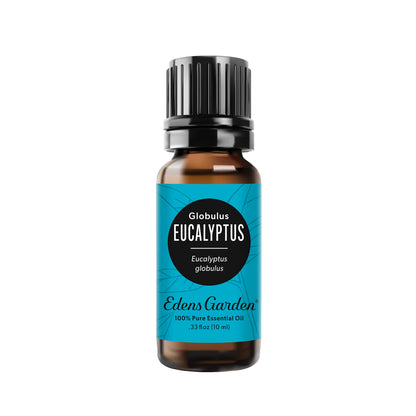 Edens Garden Eucalyptus Globulus Essential Oil - 100% Pure Premium Grade, 10 ml
