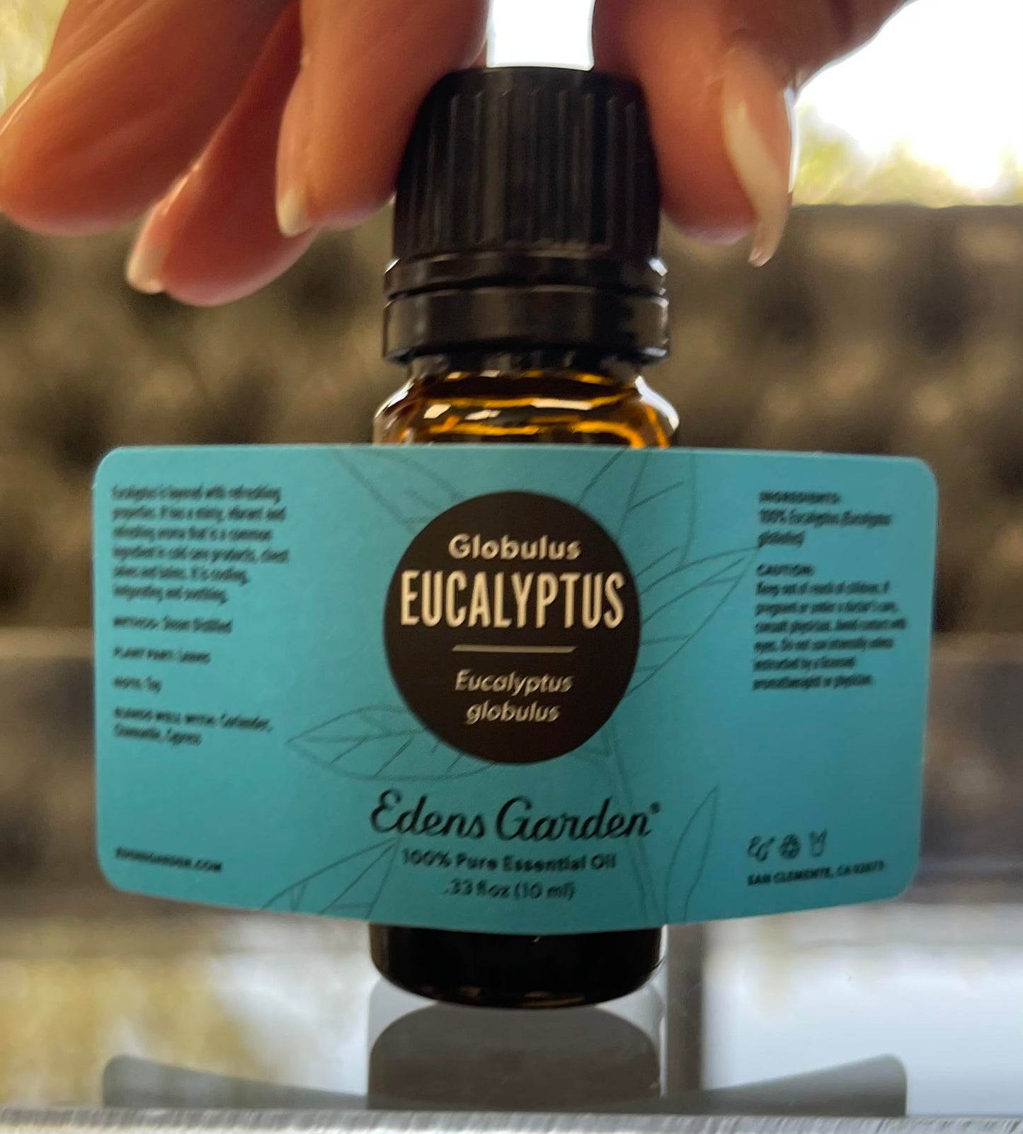 Edens Garden Eucalyptus Globulus Essential Oil - 100% Pure Premium Grade, 10 ml