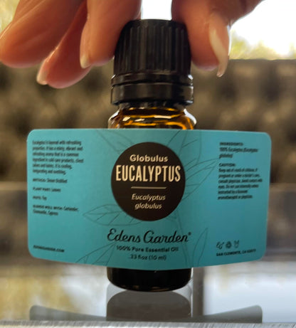 Edens Garden Eucalyptus Globulus Essential Oil - 100% Pure Premium Grade, 10 ml