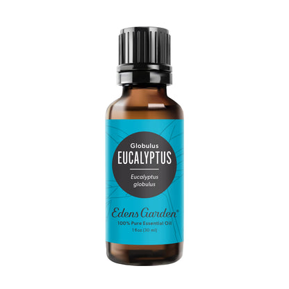 Edens Garden Eucalyptus Globulus Essential Oil - 100% Pure, Premium Grade, 30 ml