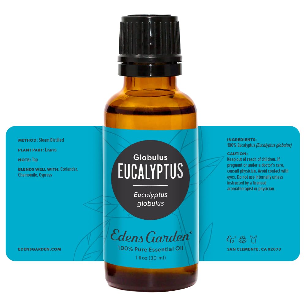 Edens Garden Eucalyptus Globulus Essential Oil - 100% Pure, Premium Grade, 30 ml