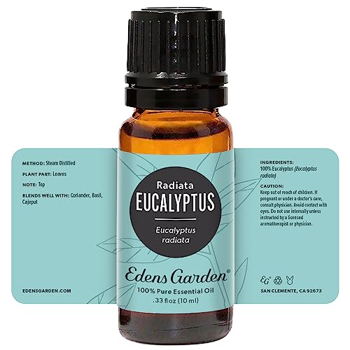 Edens Garden Eucalyptus Radiata Essential Oil – 100% Pure, Premium Grade, 10 ml
