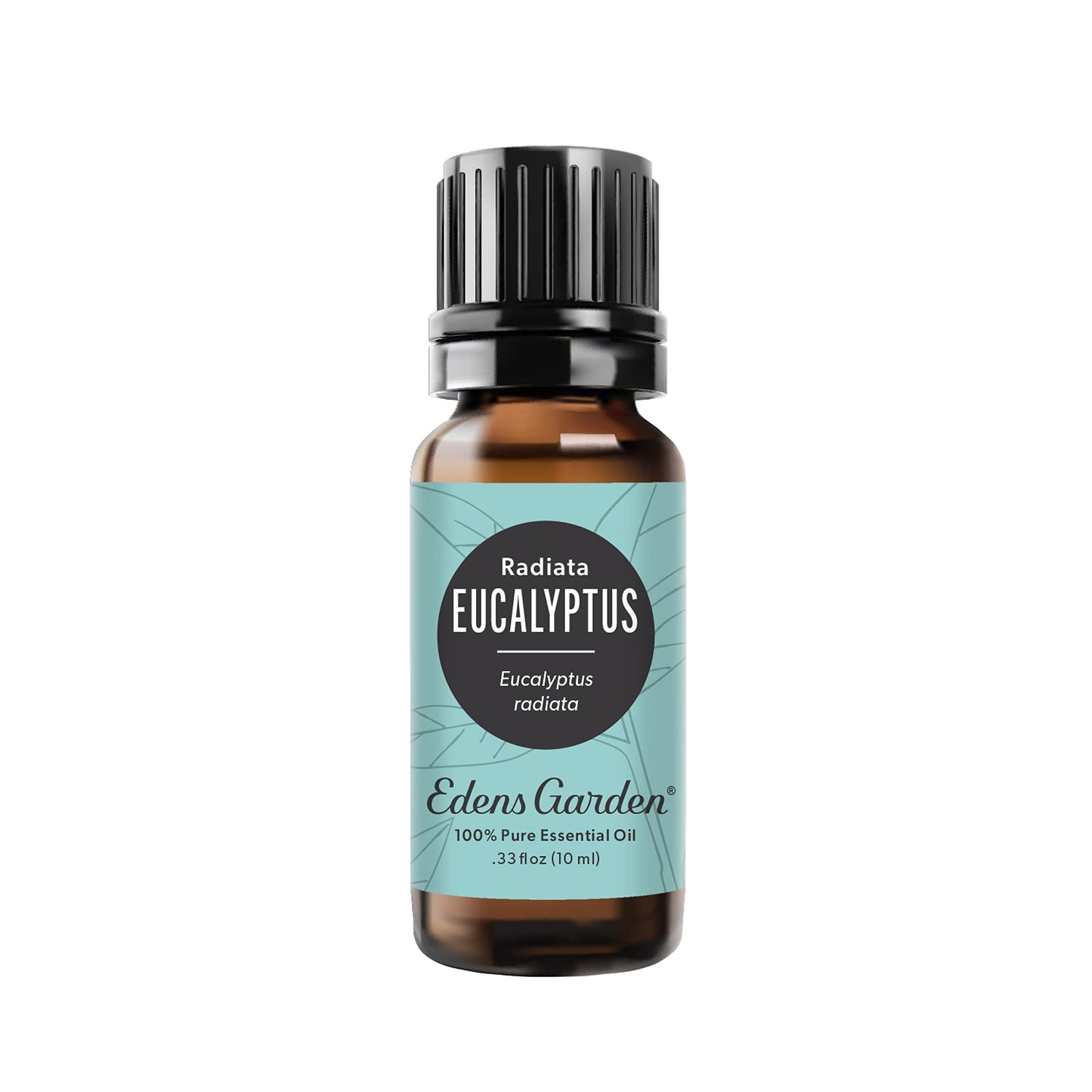 Edens Garden Eucalyptus Radiata Essential Oil – 100% Pure, Premium Grade, 10 ml
