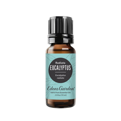 Edens Garden Eucalyptus Radiata Essential Oil – 100% Pure, Premium Grade, 10 ml