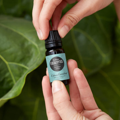 Edens Garden Eucalyptus Radiata Essential Oil – 100% Pure, Premium Grade, 10 ml