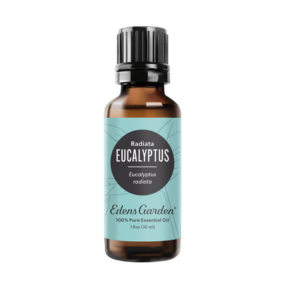 Edens Garden Eucalyptus Radiata Essential Oil – 30 ml | 100% Pure Therapeutic Grade