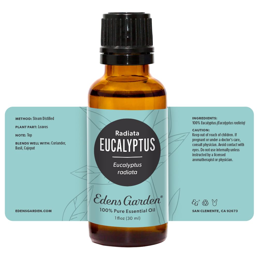 Edens Garden Eucalyptus Radiata Essential Oil – 30 ml | 100% Pure Therapeutic Grade