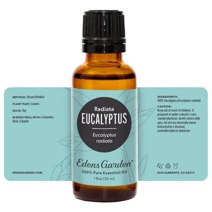 Edens Garden Eucalyptus Radiata Essential Oil – 30 ml | 100% Pure Therapeutic Grade