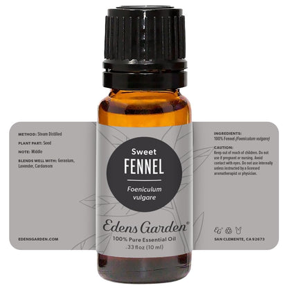 Edens Garden Fennel Sweet Essential Oil – 100% Pure Therapeutic Grade, 10 ml