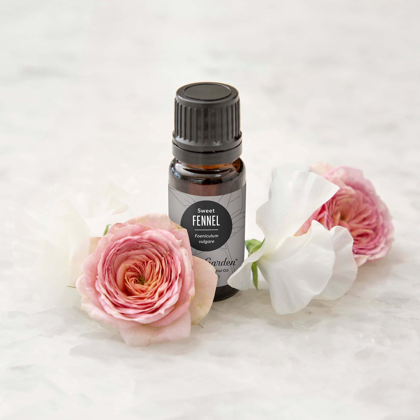 Edens Garden Fennel-Sweet Essential Oil | 100% Pure Premium Grade 30 ml
