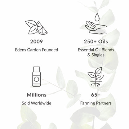 Edens Garden Frankincense Around The World Essential Oil – 100% Pure, Premium Grade, 10 ml