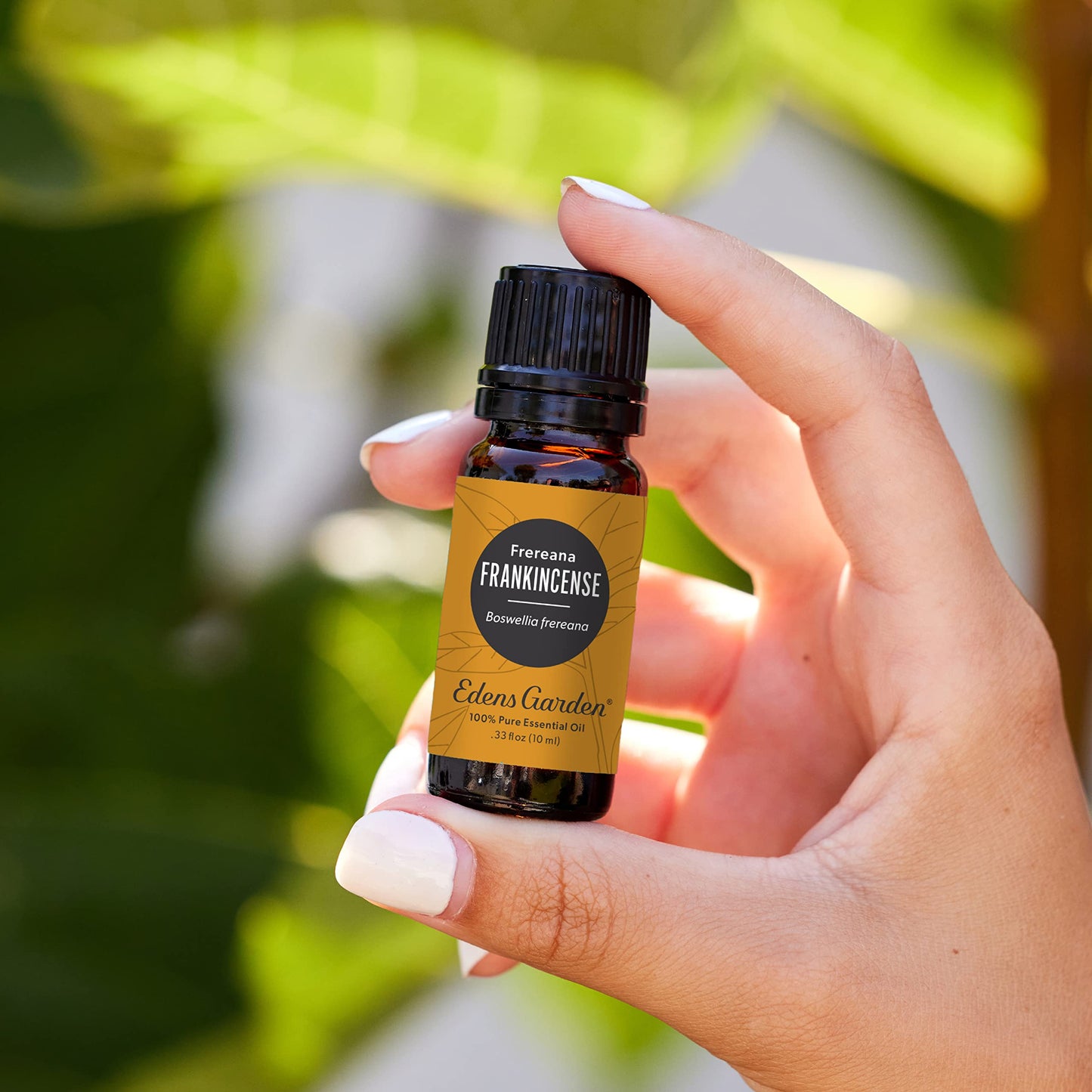 Edens Garden Frankincense Frereana Essential Oil 10 ml - 100% Pure