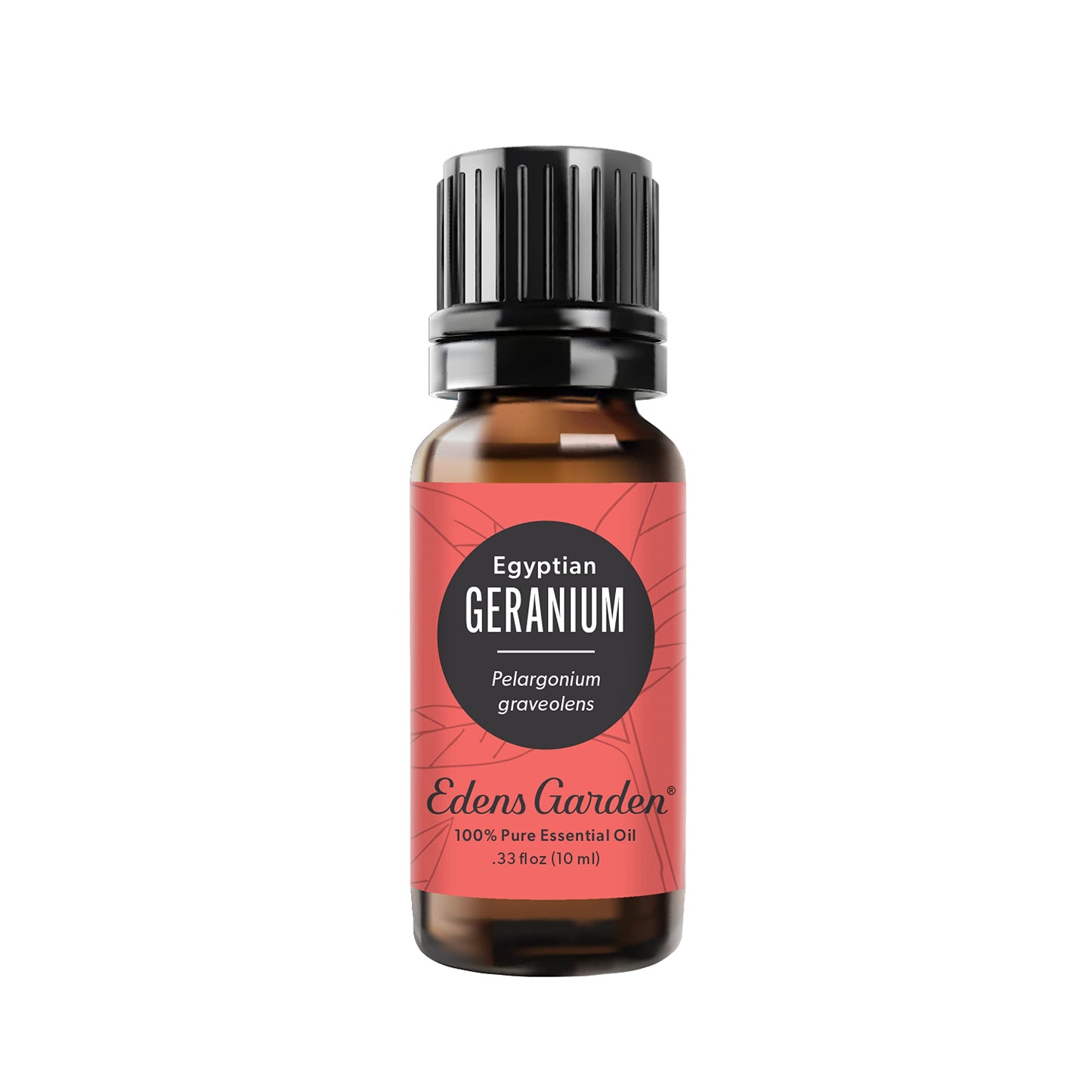 Edens Garden Geranium Egyptian Essential Oil – 100% Pure, Premium Grade, 10 ml